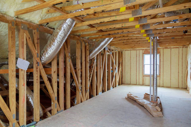 Best Insulation Removal  in Black Forest, CO
